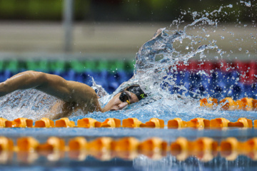 Des compétitions de natation à Téhéran 