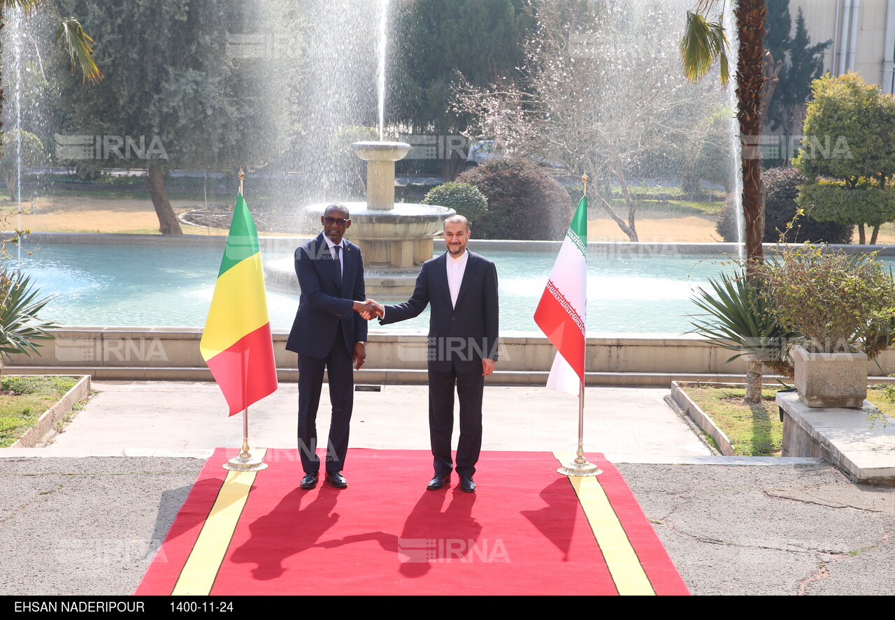 دیدار وزیران امور خارجه ایران و مالی