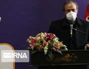 رزم حسینی: سیاست وزارت صنعت رقابتی ساختن خودرو سازی است