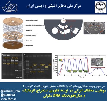 موفقیت محققان ایرانی در توسعه فناوری استخراج میکروفلویدیک DNA سلولی