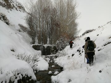 Snowy day in 1st days of winter in Tehran