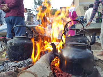 جشنواره آلو و پخت غذاهای محلی روستای حیدره قاضی خانی