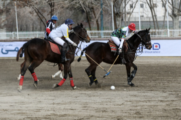 Coupe Lotus de la Ligue Nationale de polo