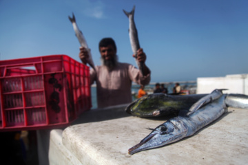 Muelle de pesca “Bandar-e Kong”