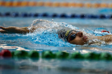 Des compétitions de natation à Téhéran 