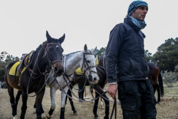 Liga Nacional de Polo en Irán