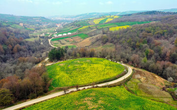 بهار در مازندران