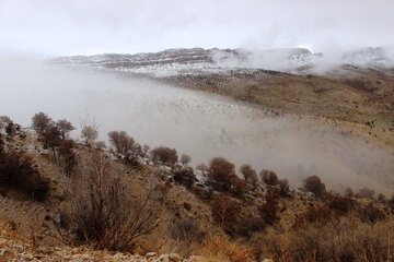 طبیعت پائیزی کوهستان