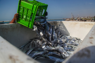 Le port de pêche de Kong au sud de l'Iran