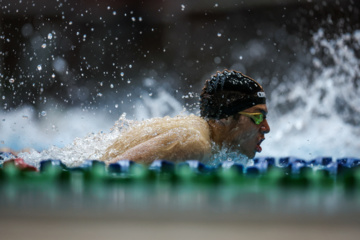 Des compétitions de natation à Téhéran 