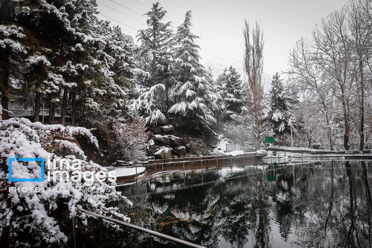 بارش برف در تهران