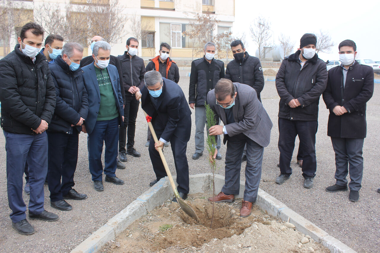 ۱۵۰ هزار اصله نهال در بستان آباد توزیع می‌شود