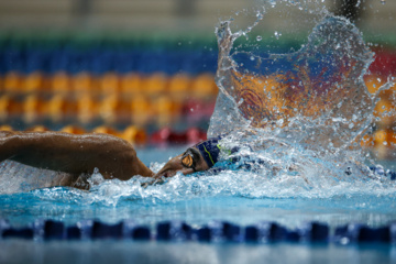 Des compétitions de natation à Téhéran 