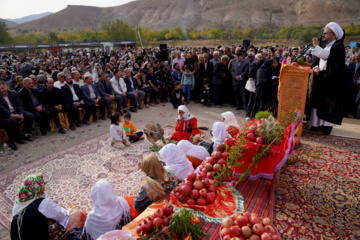 جشنواره انار روستای نمهیل