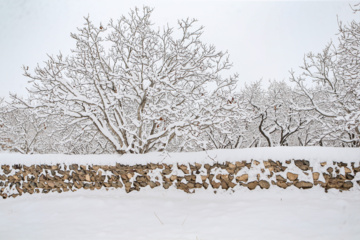 بارش برف زمستانی در روستای اسکندان اسکو