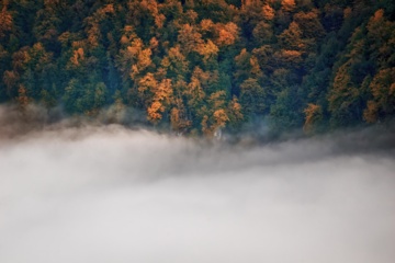 L'automne dans les forêts hyrcaniennes expose la magie de la nature dans chaque feuille. Le paysage intact et pittoresque de ces forêts en automne montre l'importance historique et la diversité végétale de ce trésor naturel iranien. 