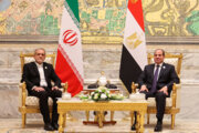 Iran, Egypt presidents meet on sidelines of  D-8 Summit