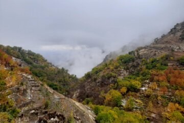 خودنمایی زمستان در پاییز