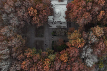 Autumn leaves in Pahlavanpur Garden