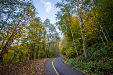 Espectáculo de color cuando el otoño llega a Mazandarán