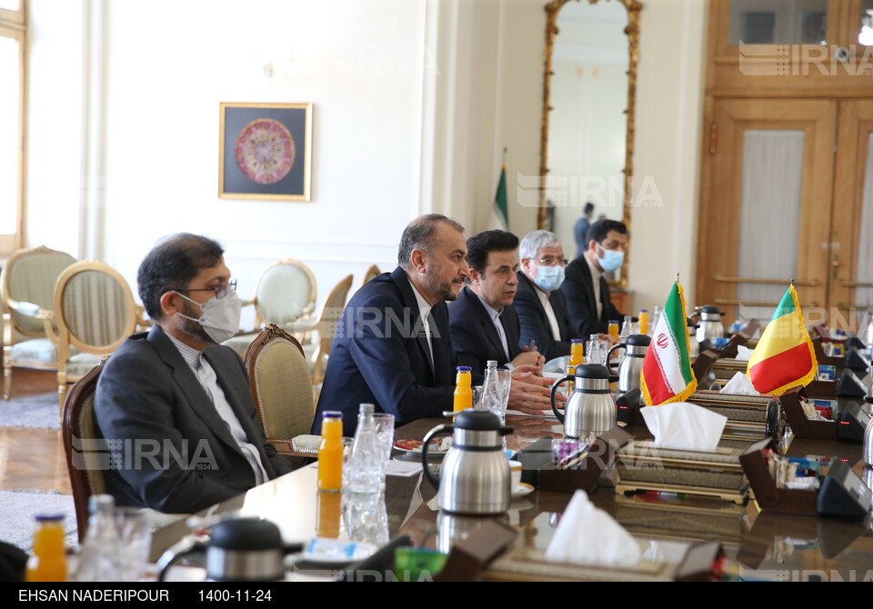 دیدار وزیران امور خارجه ایران و مالی