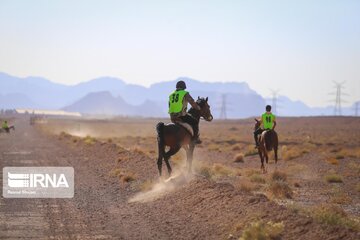 Endurance riding competition in Iran