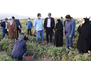 سفر معاونت امور زنان و خانواده ریاست جمهوری به فارس