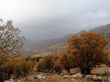 پاییز در روستای طولاب میشخاص