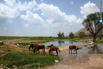 حدود سه هزار مترمربع از حریم سراب "زز"  الشتر آزاد شد