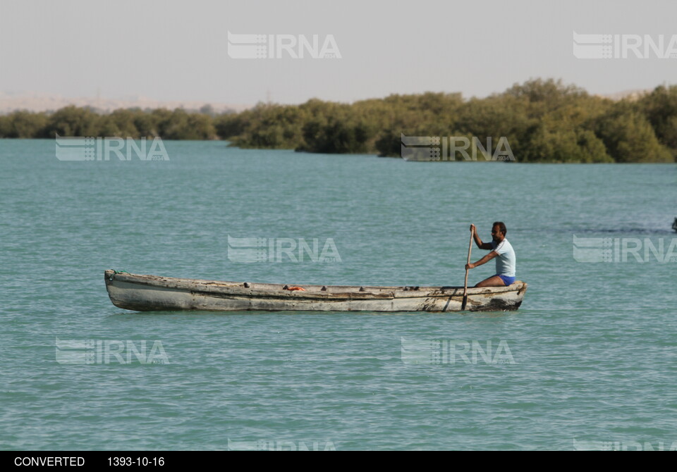 دیدنیهای ایران - مناطق توریستی قشم