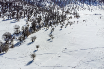 Hiver 2025: nature enneigée des hauteurs de la province de Golestan au nord de l'Iran