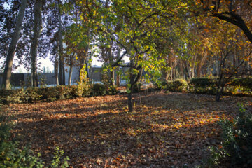 Autumn leaves in Pahlavanpur Garden