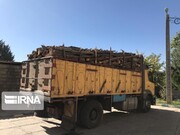 ۲۴ تن چوب قاچاق در قزوین کشف شد