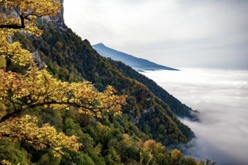 L'automne dans les forêts hyrcaniennes expose la magie de la nature dans chaque feuille. Le paysage intact et pittoresque de ces forêts en automne montre l'importance historique et la diversité végétale de ce trésor naturel iranien. 