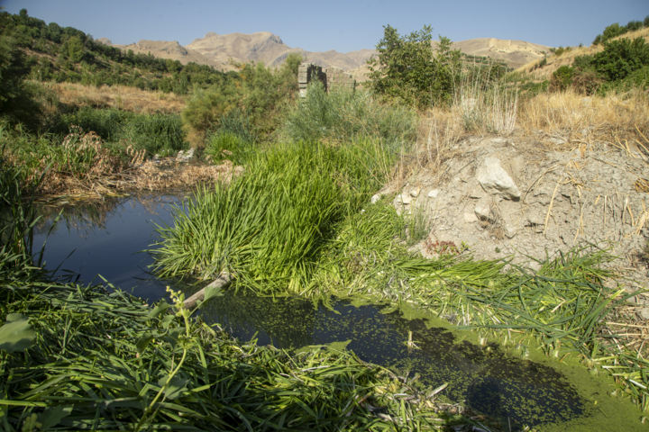 دپوی غیر اصولی زباله در سنندج