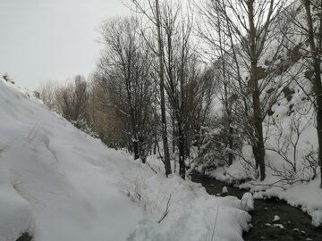 Snowy day in 1st days of winter in Tehran