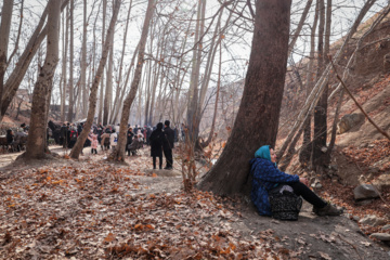 Iran : Festival de Yalda à Farahzad de Téhéran