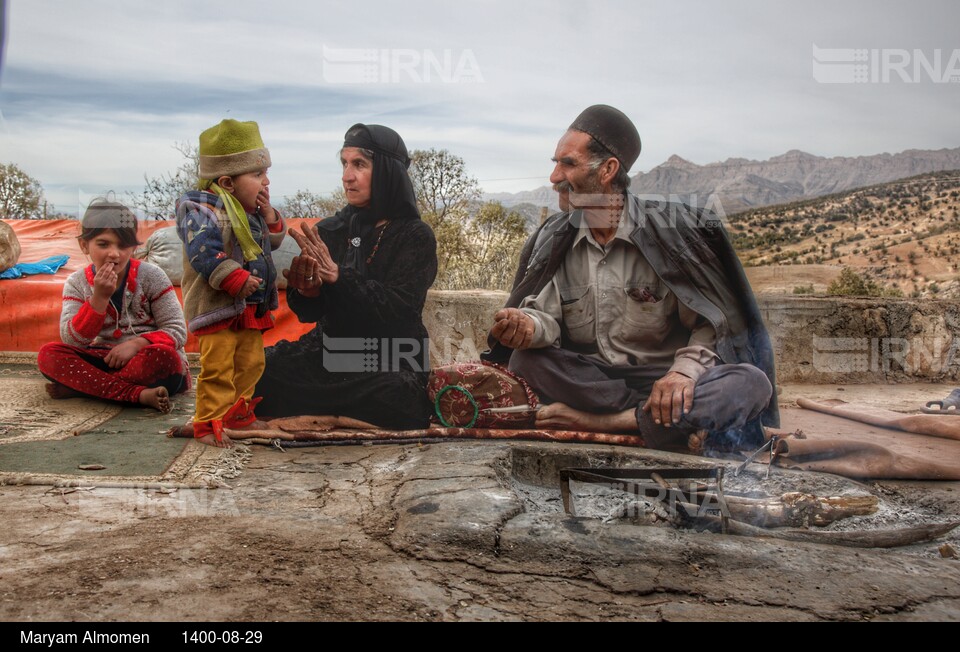 فصل جمع آوری بَلیط (بلوط)