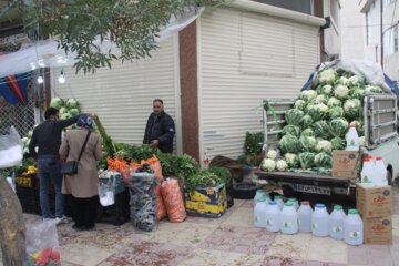 فصل سرما و تب و تاب تهیه ترشي در مهاباد