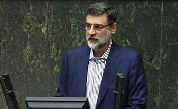 قاضی‌زاده هاشمی: مجلس یازدهم حامی گفتمان انقلاب در عرصه‌های جهانی است