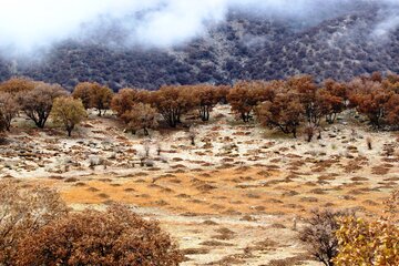 طبیعت پائیزی کوهستان