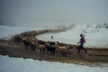 Nieve otoñal en Mazandarán