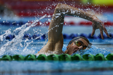 Des compétitions de natation à Téhéran 