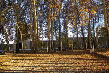 Autumn leaves in Pahlavanpur Garden