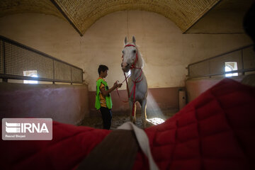 Endurance riding competition in Iran