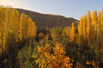 طبیعت پاییزی تفرجگاه بند ارومیه