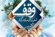 رییس اوقاف و امور خیریه بسطام: توقع اجاره ارزان املاک وقفی منطقی نیست