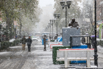 Iran-décembre 2024 : chutes de neige d’automne à Rasht au nord (Photo : Mojtaba Mohammadi)