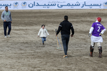 Liga Nacional de Polo en Irán