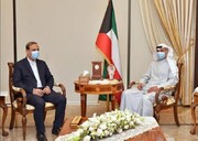 Iran, Kuwait officials hold talks on issues of mutual interest